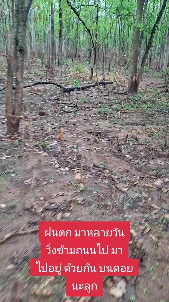 TikTok video thumbnail by kanjawan26