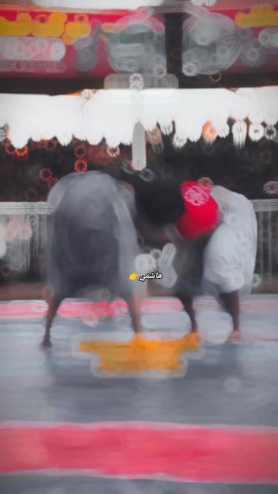 TikTok video thumbnail by palwhanan22