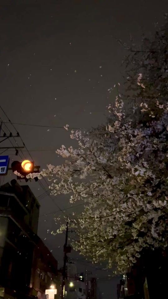 TikTok video thumbnail by haein8858