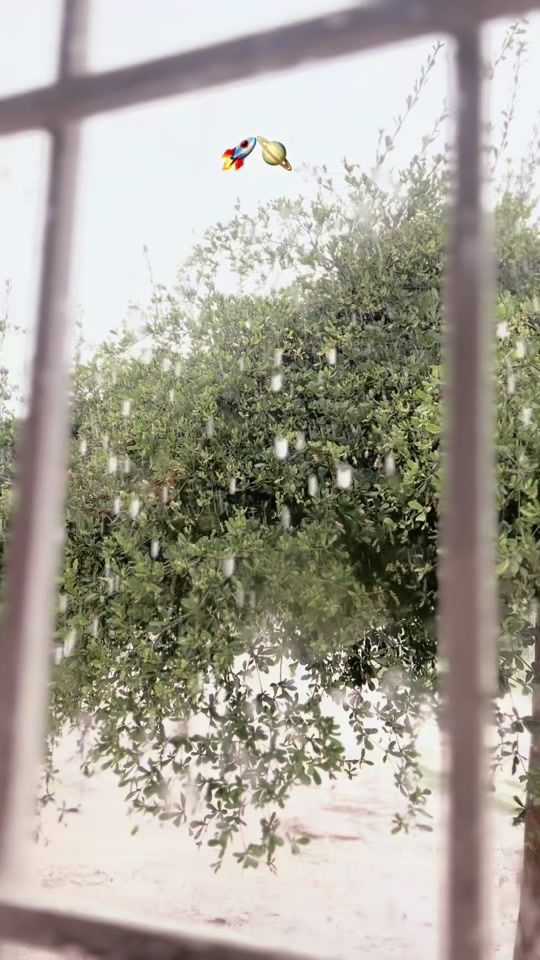TikTok video thumbnail by maritroconis1