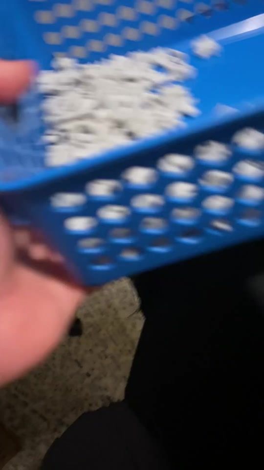 TikTok video thumbnail by monstercaesarstudios