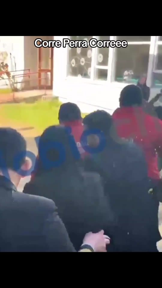 TikTok video thumbnail by patriicknico