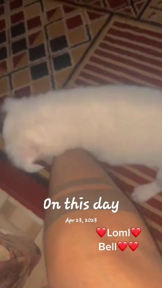 TikTok video thumbnail by innocentkid13