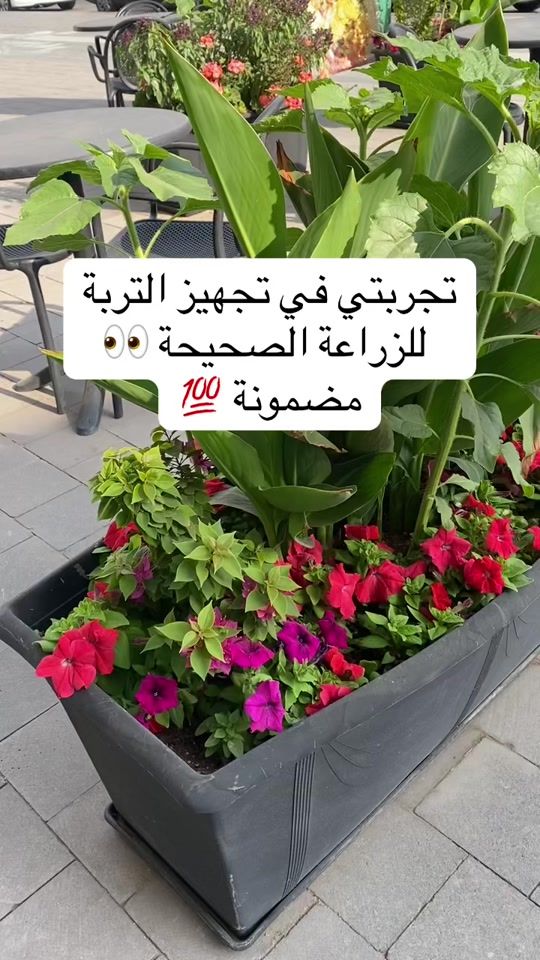 TikTok video thumbnail by abozain494