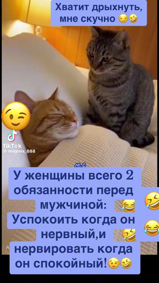 TikTok video thumbnail by user72852874301263