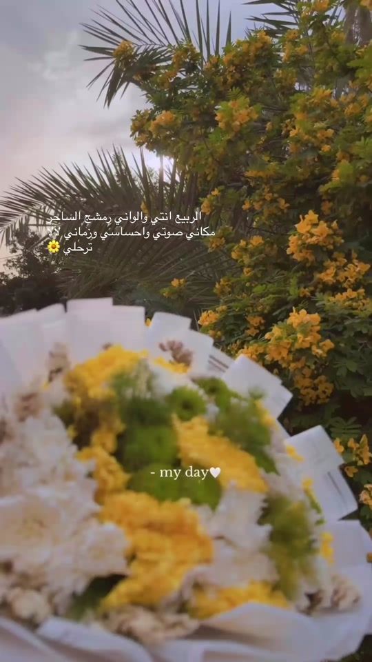 TikTok video thumbnail by ma_ys92