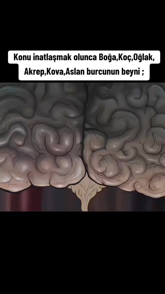 TikTok video thumbnail by 12burcyorumu