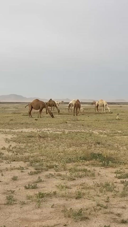 TikTok video thumbnail by jzi.f