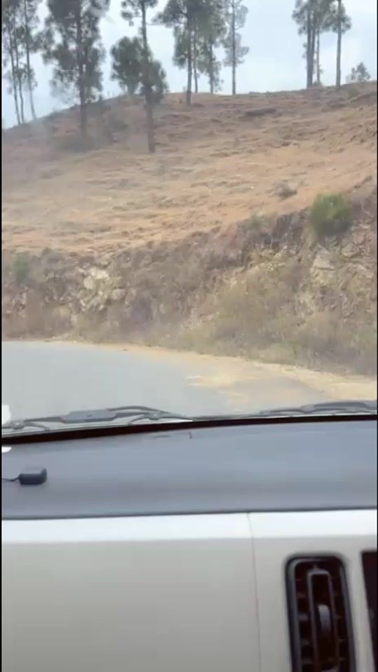 TikTok video thumbnail by tkcarbaz