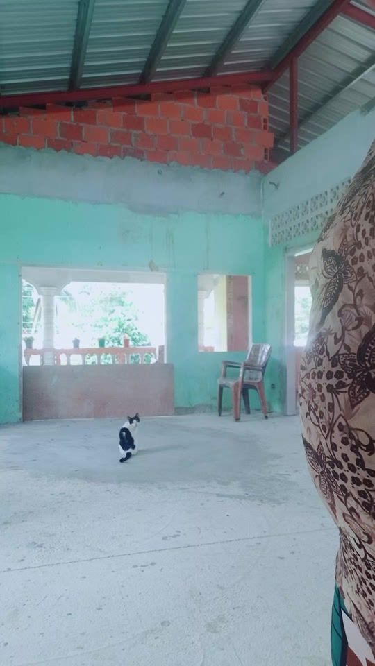 TikTok video thumbnail by patricialeesam