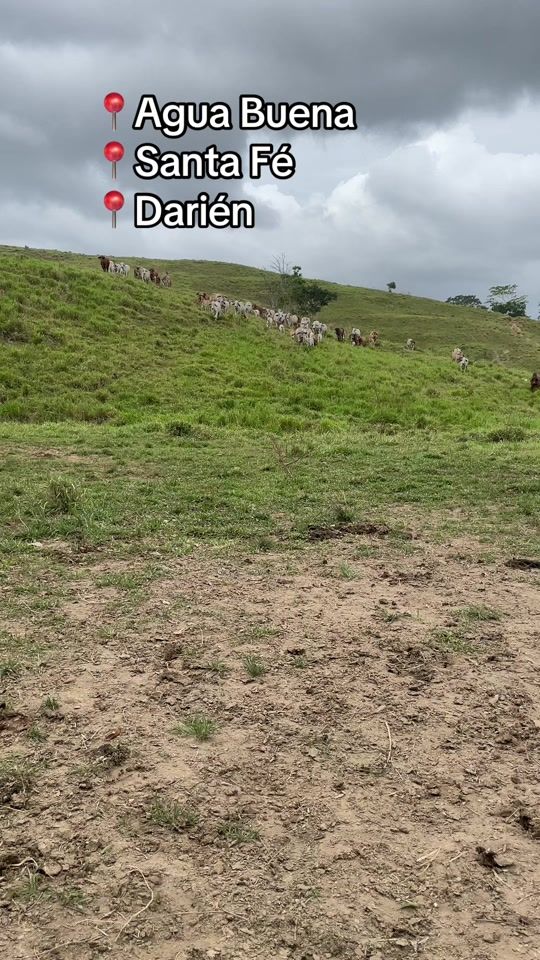 TikTok video thumbnail by itzelg_1985