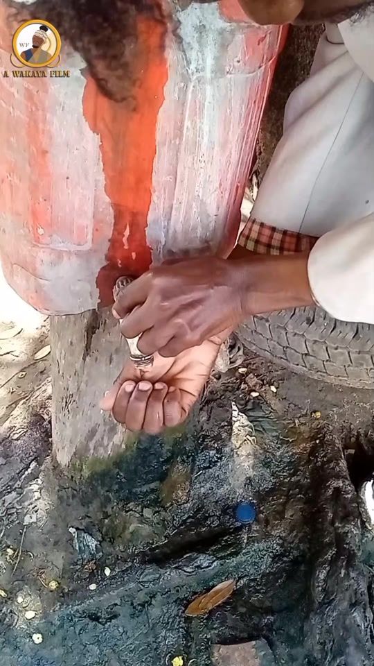 TikTok video thumbnail by wakayaog_