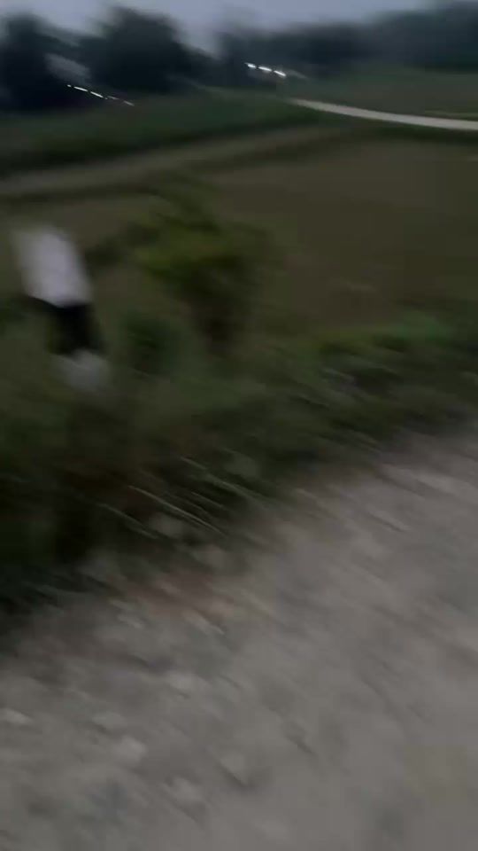 TikTok video thumbnail by amittamong