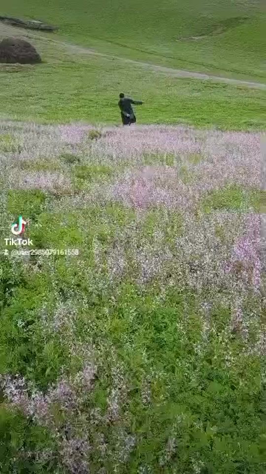 TikTok video thumbnail by muhammadjomasulta