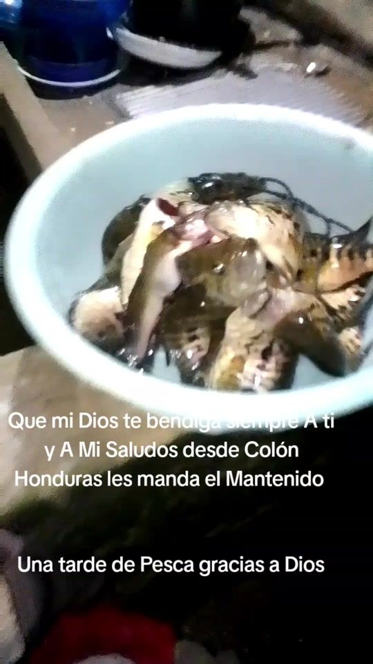 TikTok video thumbnail by abimaela03