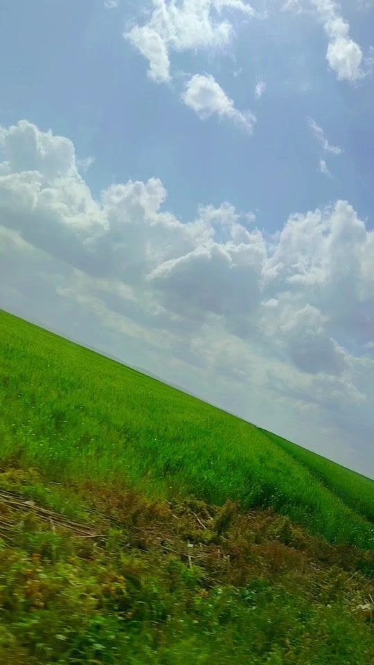 TikTok video thumbnail by camping1414