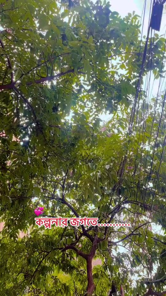 TikTok video thumbnail by manju_dear007