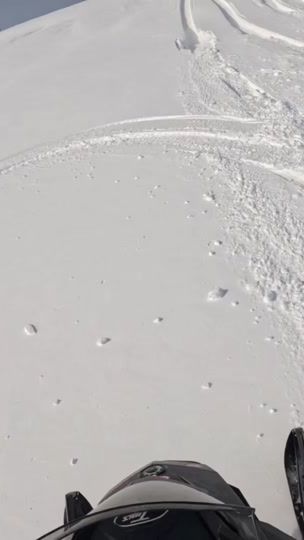 TikTok video thumbnail by cfrieda19