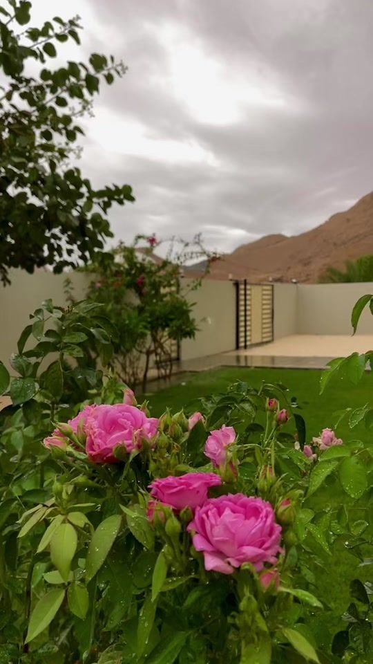 TikTok video thumbnail by asma54070