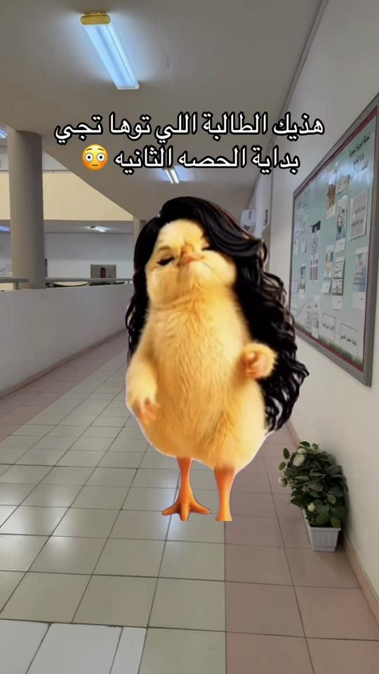 TikTok video thumbnail by to0oty191