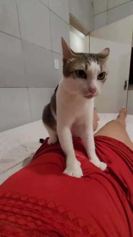 TikTok video thumbnail by apharseira