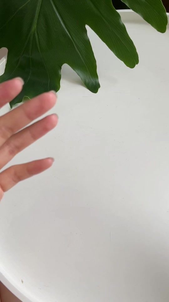 TikTok video thumbnail by ghes.handmade