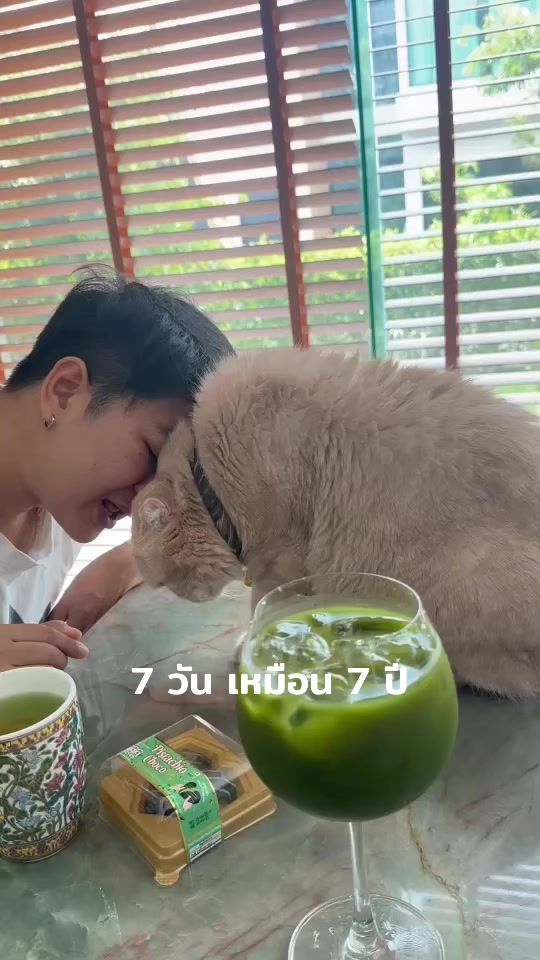 TikTok video thumbnail by katangofficial