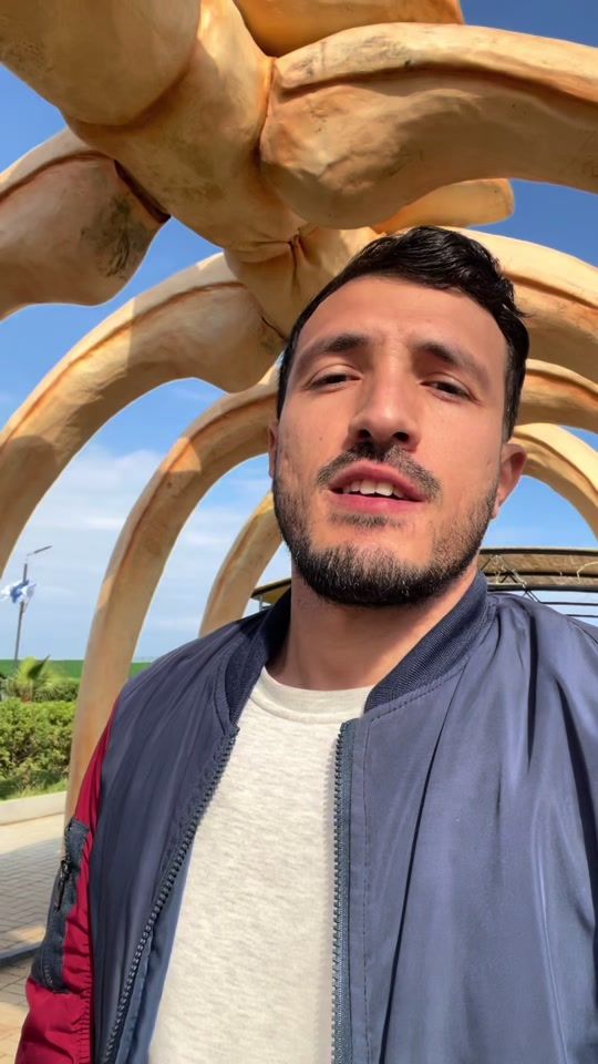 TikTok video thumbnail by faresredjai