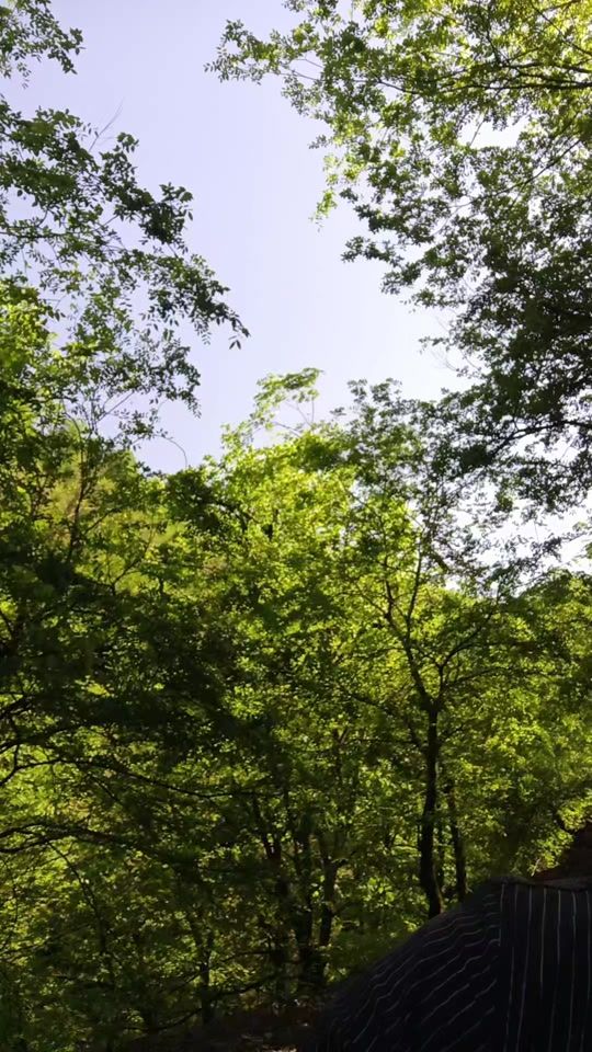 TikTok video thumbnail by adil_0706