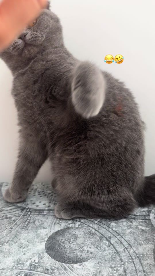 TikTok video thumbnail by usa.5552