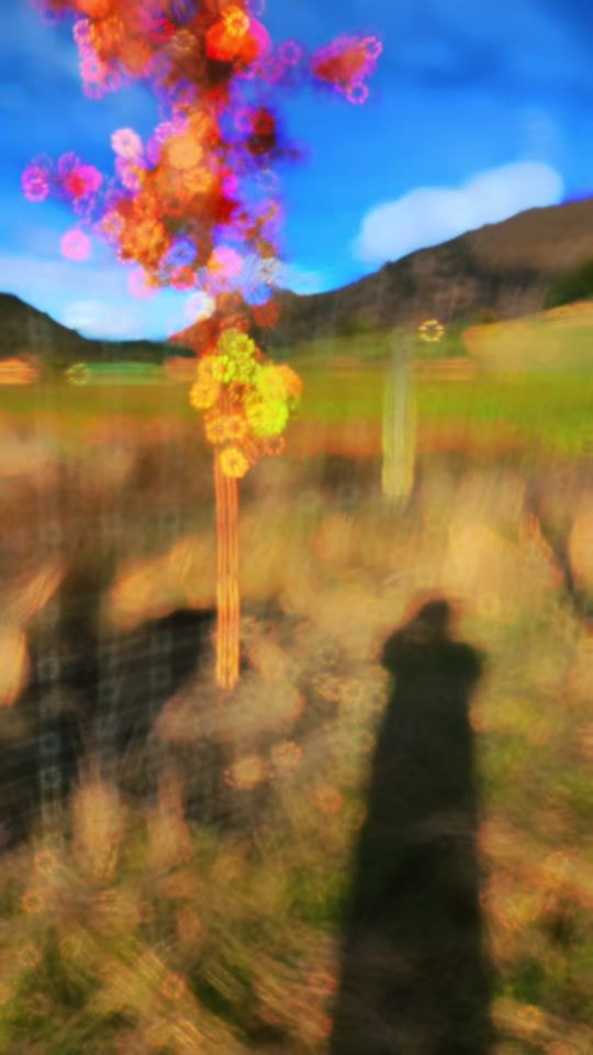 TikTok video thumbnail by nzdeerfarming