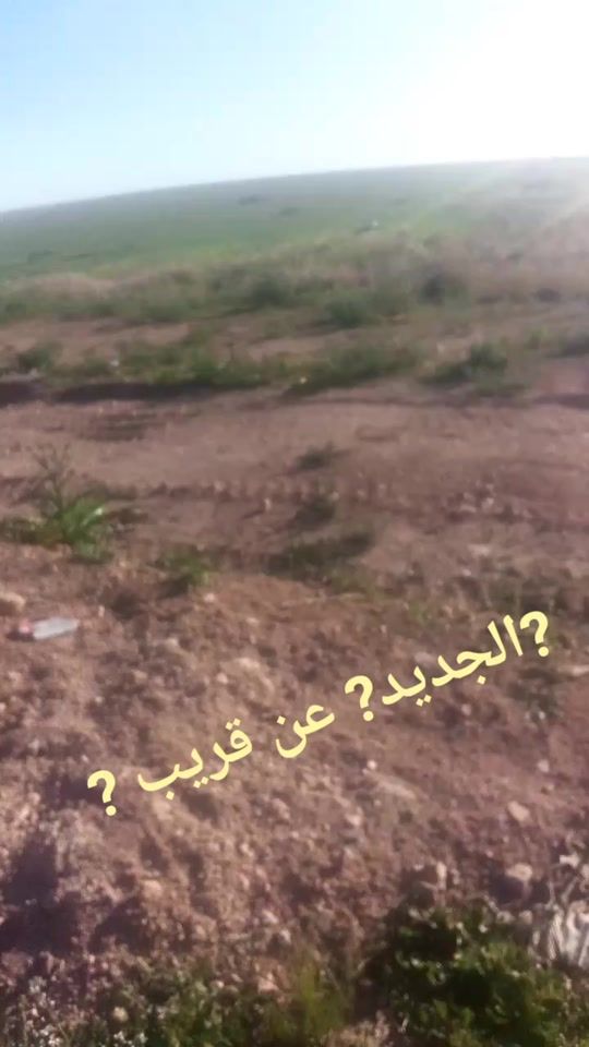 TikTok video thumbnail by nourahane4