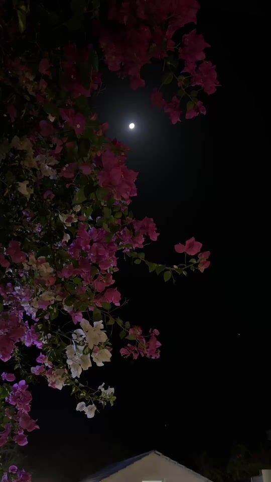 TikTok video thumbnail by aml.shehri