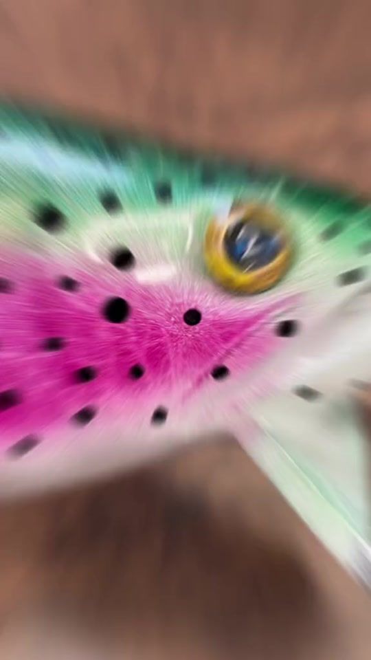 TikTok video thumbnail by megalures