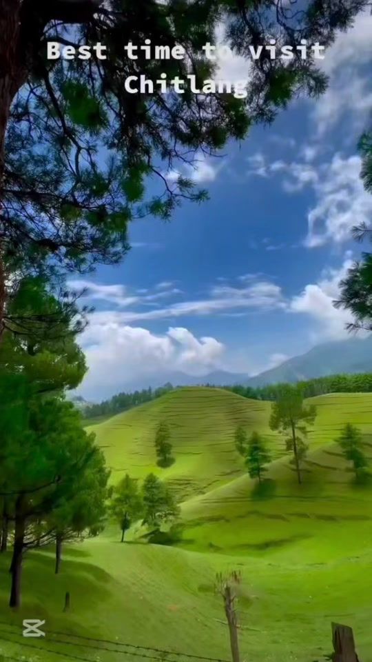 TikTok video thumbnail by driveadventure_rental