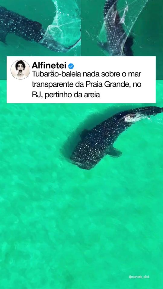 TikTok video thumbnail by alfineteiofc