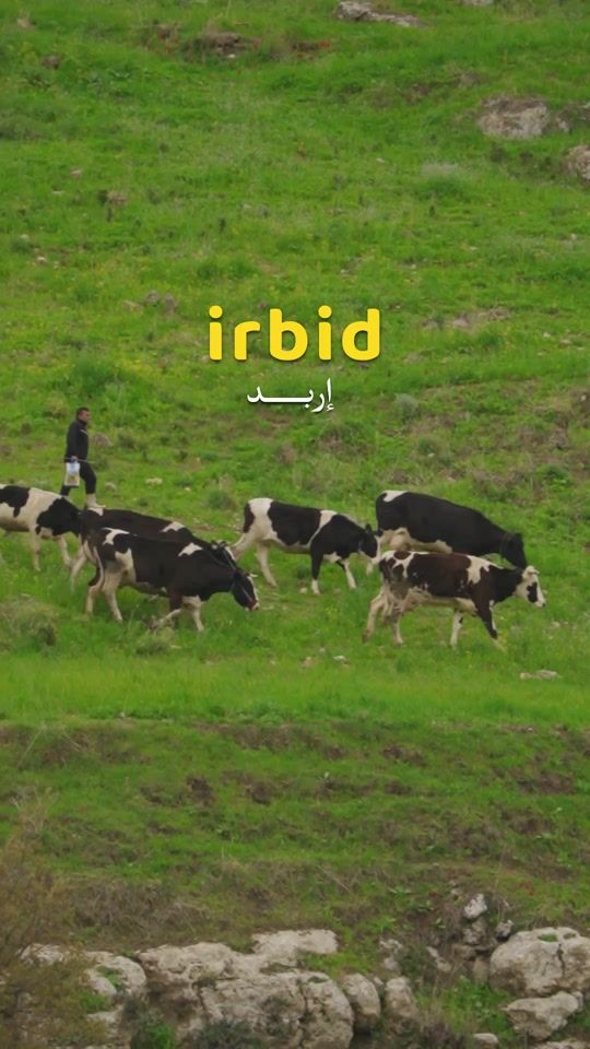 TikTok video thumbnail by zaidsawalhaa