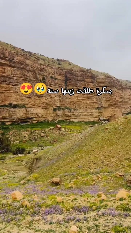 TikTok video thumbnail by waheb_chaoui