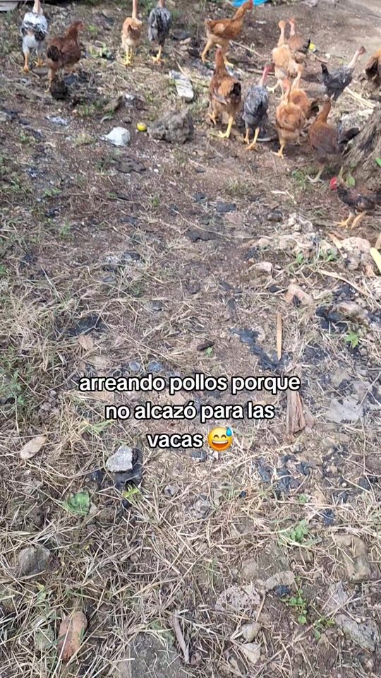 TikTok video thumbnail by quique_mc