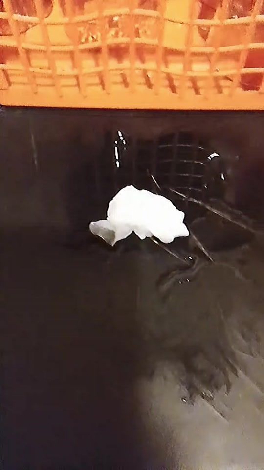 TikTok video thumbnail by __shnnj__