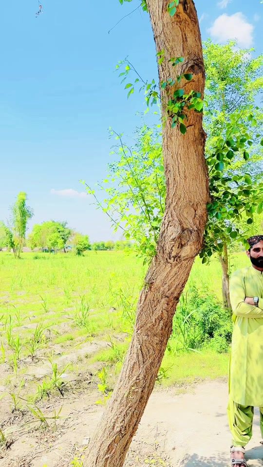 TikTok video thumbnail by mir_saif1