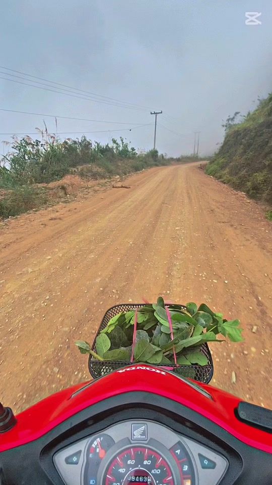 TikTok video thumbnail by nraug.hmong96