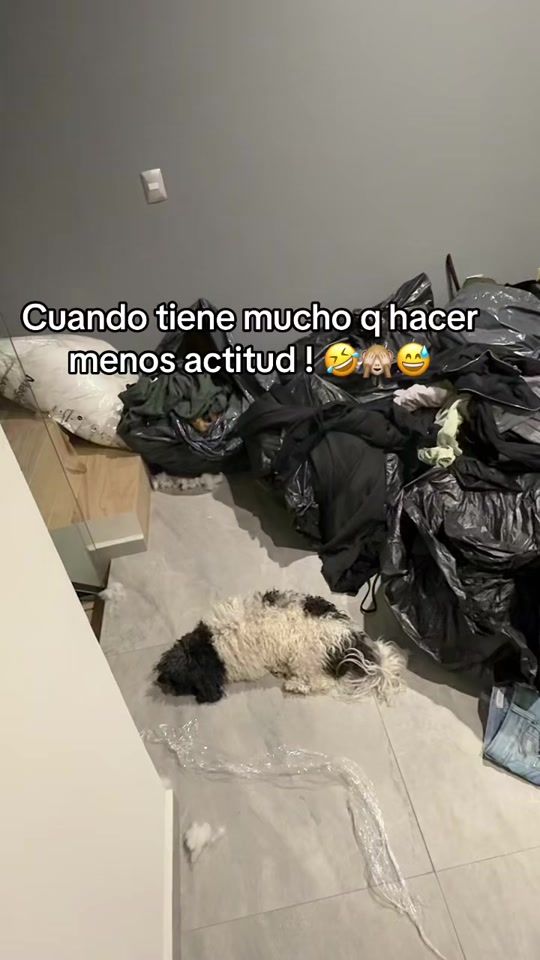 TikTok video thumbnail by coremina08
