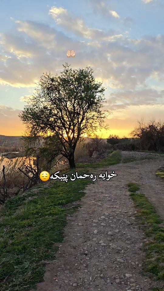 TikTok video thumbnail by nehad_mzori242