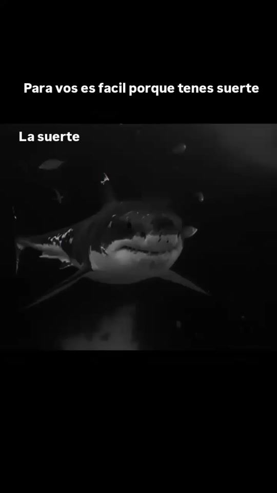TikTok video thumbnail by dannll_21