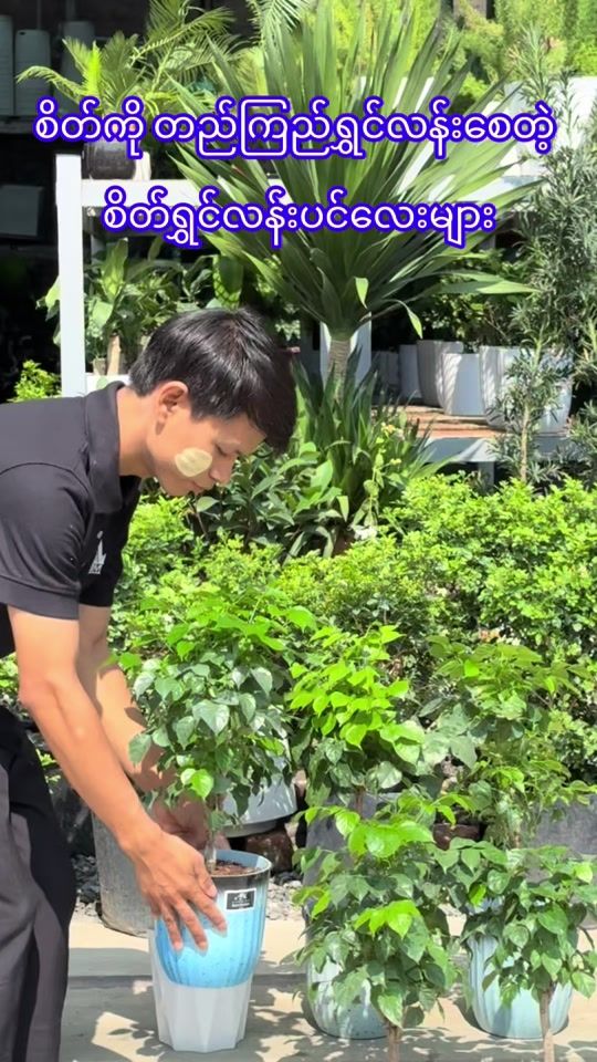 TikTok video thumbnail by tsm.garden