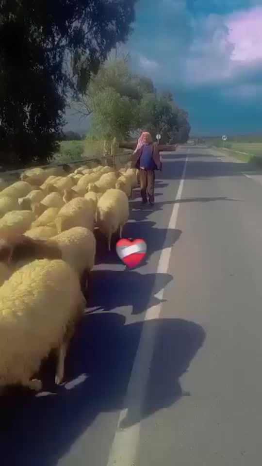 TikTok video thumbnail by ha____mhamdi