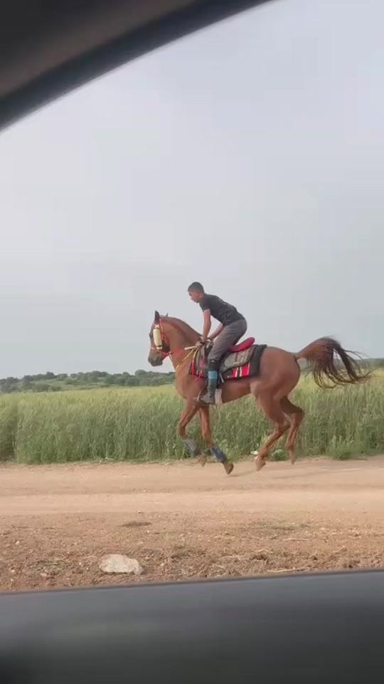 TikTok video thumbnail by tariqdiab2