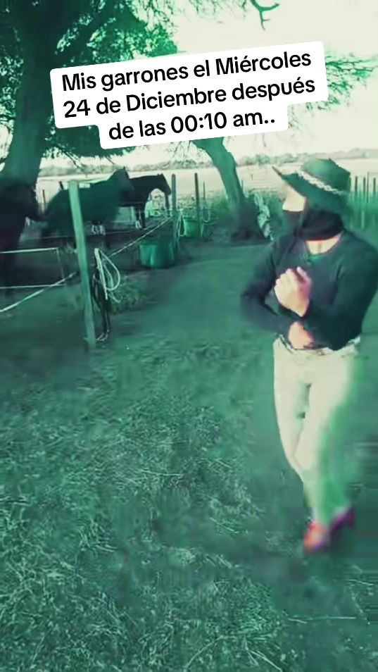 TikTok video thumbnail by anibal_monje