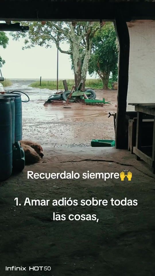 TikTok video thumbnail by luisgon027